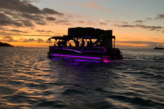 Moorea Sunset Boat Tour - The rays and sharks stop