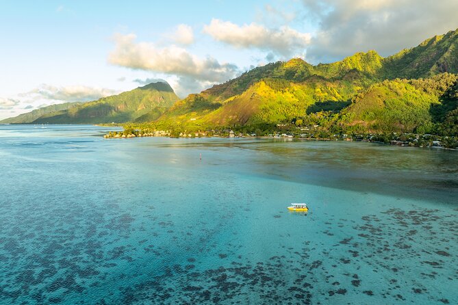 Moorea Sunset Boat Trip - A rare sunset swim with turtles, rays, and sharks