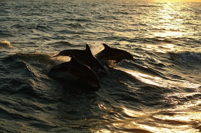 Moorea Sunset Boat Trip - Who will enjoy this trip most?