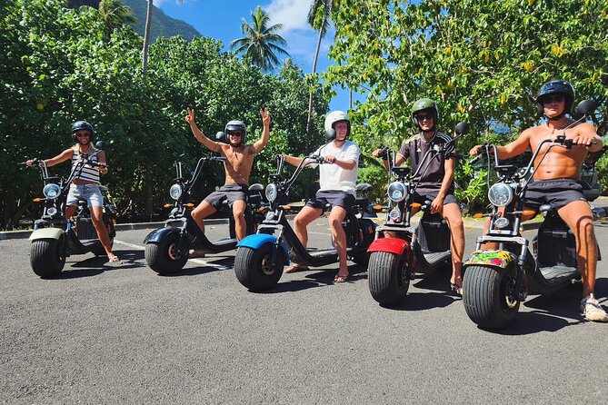 Moorea tour in electric citycoco (in autonomy) - Opunohu Bay and the Criobe Moorea ecomuseum