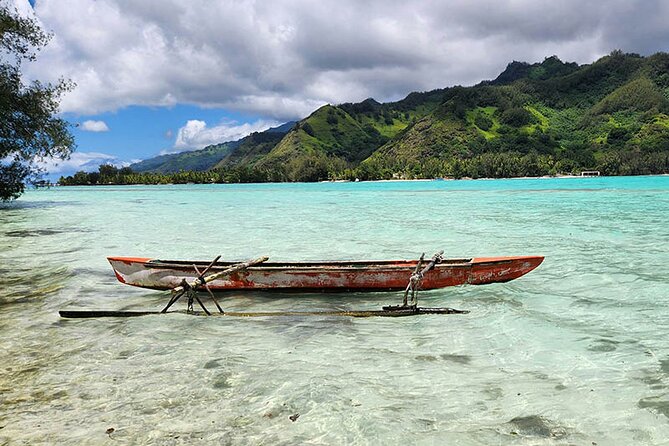 Moorea tour in electric citycoco (in autonomy) - Rotui Juice Factory for a local tasting break
