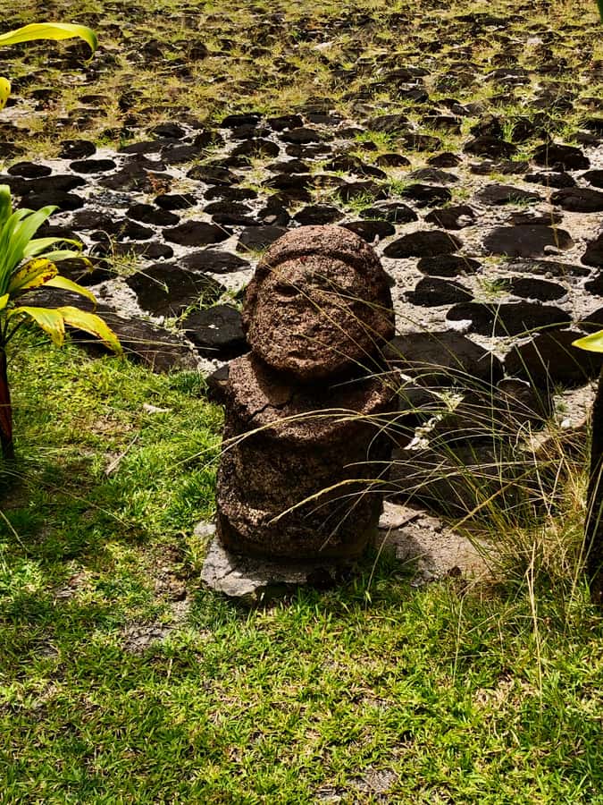 Must-Do : Nature, Culture & Moments Uniques – MirimirI Tours - Key points at a glance