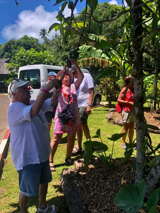 Must-Do : Nature, Culture & Moments Uniques – MirimirI Tours - Should you book Mirimiri Tours?