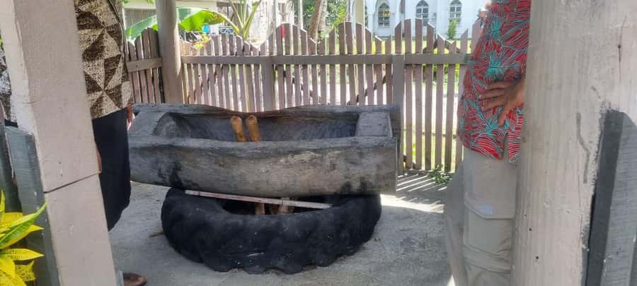 Nadi: Garden Village Hot Spring & Temple Highlights Tour - Who will enjoy this tour most