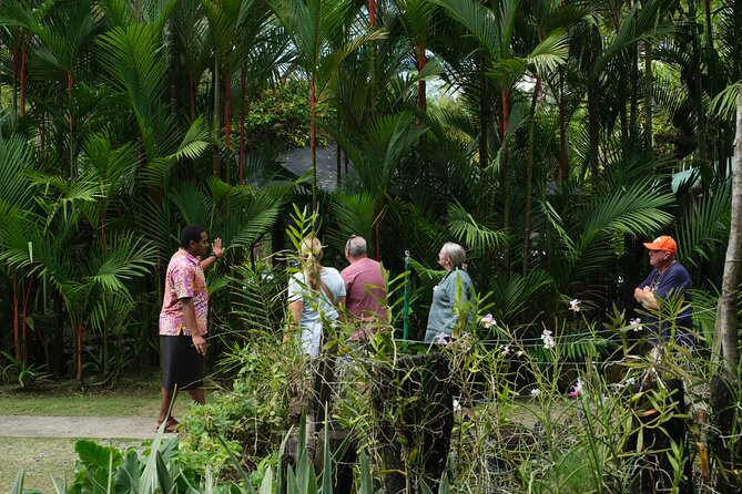 Nadi Heritage Tour - What the guide can add to the day