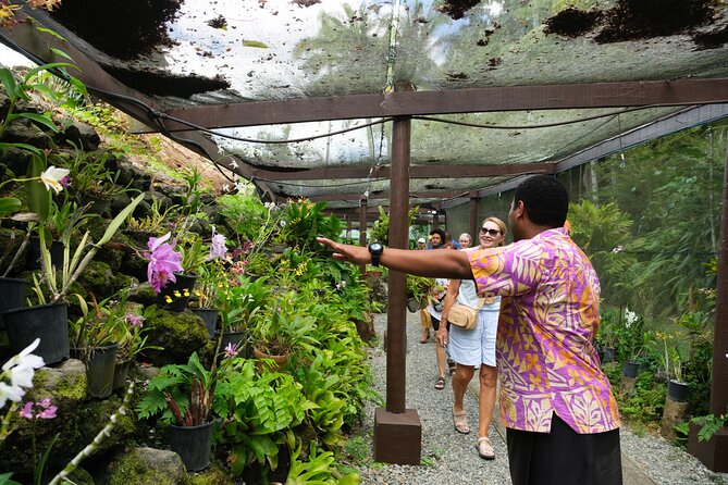 Nadi Heritage Tour - Transport, timing, and group size