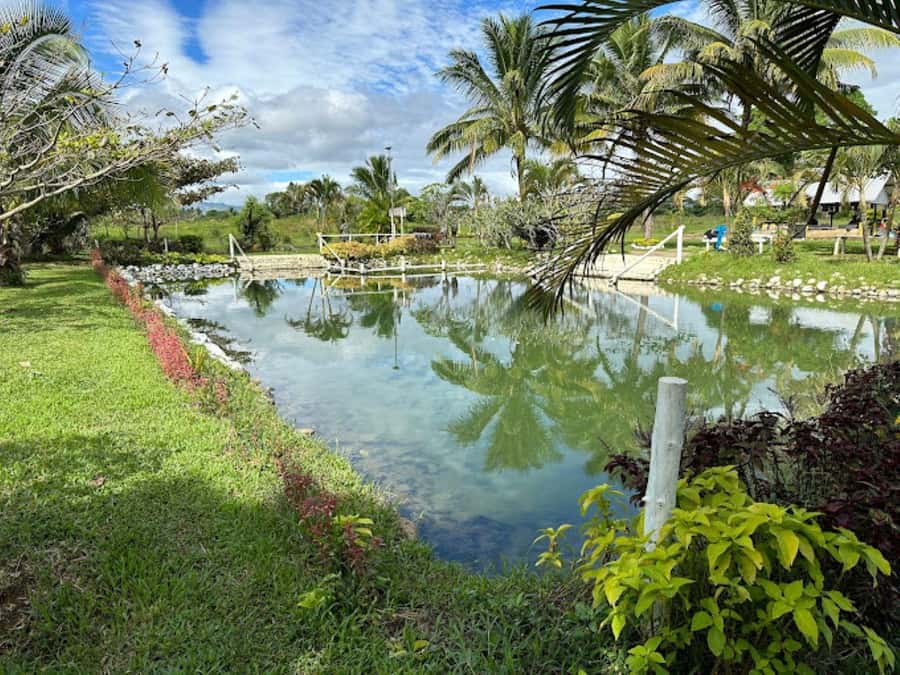 Nadi: Mud Pool and Hot Spring Private Tour - The 30-Minute Ride Toward Sleeping Giant Mountain