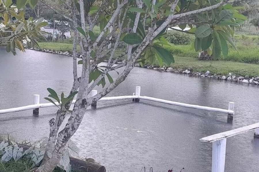 Nadi: Mud Pool and Hot Spring Private Tour - Two Hours at Sabeto Hot Spring Mud Pool