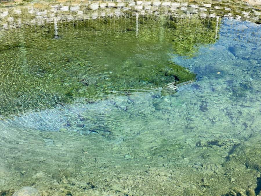 Nadi: Mud Pool and Hot Spring Private Tour - Why the Slow Pace Matters