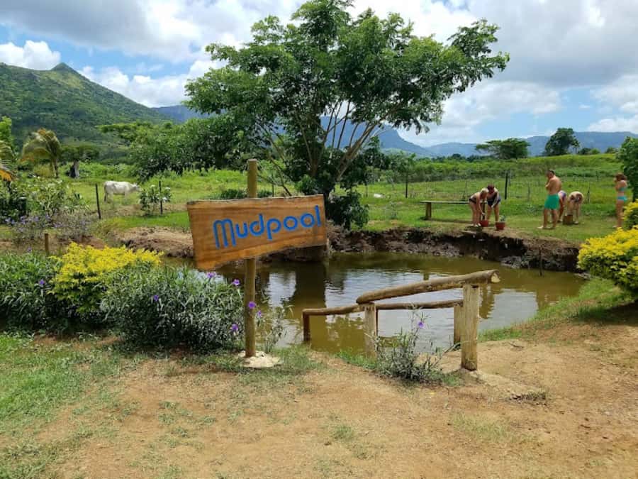 Nadi: Mud Pool and Hot Spring Private Tour - What the $49 Price Really Includes