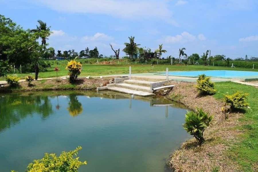 Nadi: Mud Pool and Hot Spring Private Tour - Who Will Enjoy This Tour Most