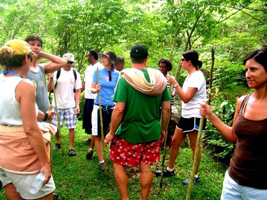 NADI: Nalesutale Village Half Day Tour - Key points to know