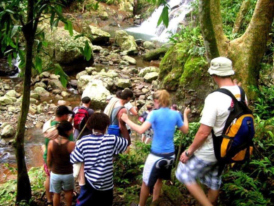 NADI: Nalesutale Village Half Day Tour - A village welcome before the forest walk