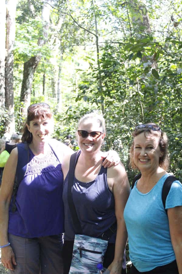 NADI: Nalesutale Village Half Day Tour - The waterfall stop and cool-water break