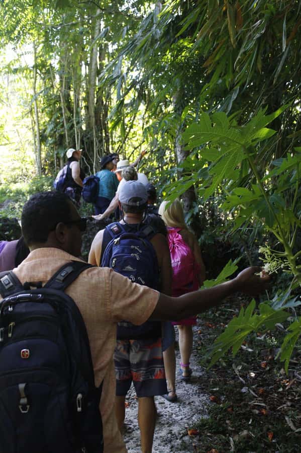 NADI: Nalesutale Village Half Day Tour - Practical planning for a smoother visit