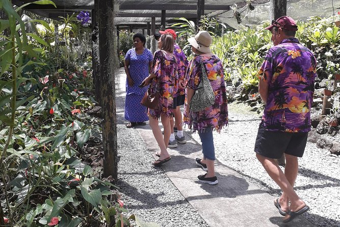 Nadi Sightseeing Including Viseisei Lookout, Village Tour, Garden & Temple Tour - A useful first look at Nadi in five hours
