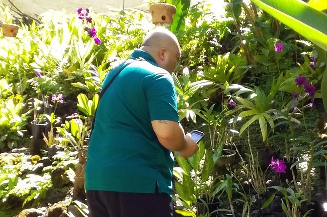 Nadi Sightseeing Including Viseisei Lookout, Village Tour, Garden & Temple Tour - Sri Siva Subramaniya Temple: color, murals, and practical rules
