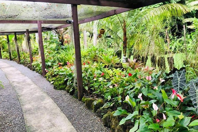 Nadi Sightseeing & Mud Pool Tour - Ex Fiji Marriott, Momi Bay - Sri Siva Subramaniya Temple: a colorful first stop