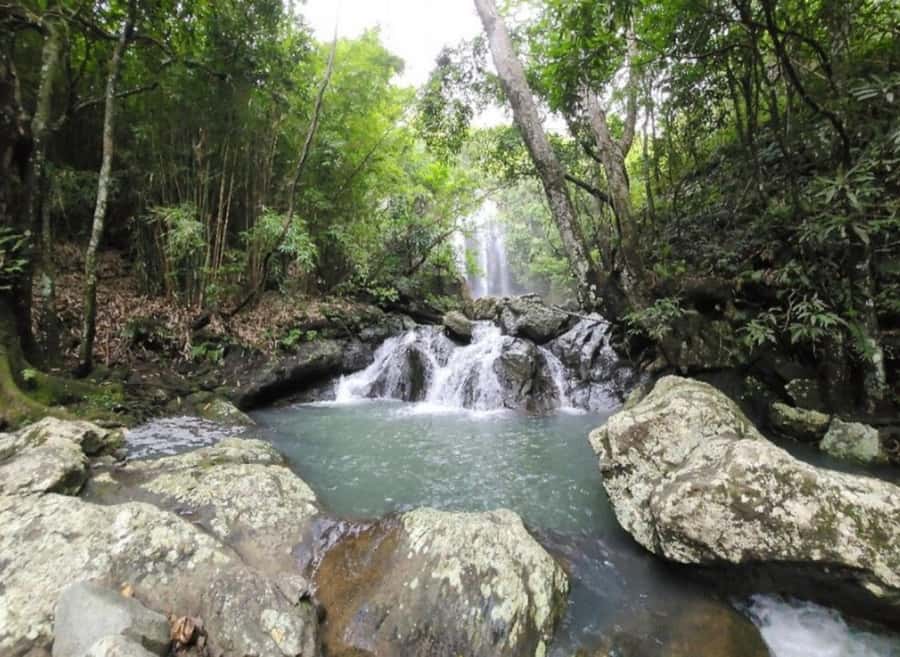 Nadi: Waterfall Tour Adventure with Refreshments and Lunch - Key points to know before you book