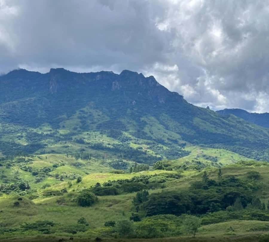 Nadi: Waterfall Tour Adventure with Refreshments and Lunch - Why the waterfall is only part of the experience