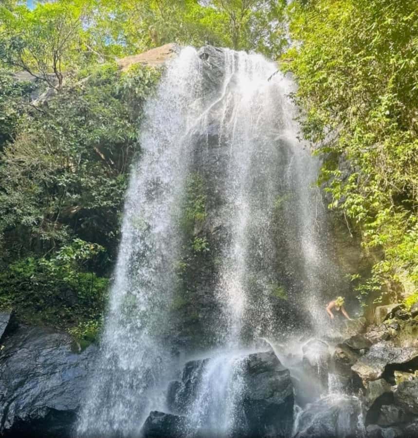 Nadi: Waterfall Tour Adventure with Refreshments and Lunch - Coconut water and the first campsite stop