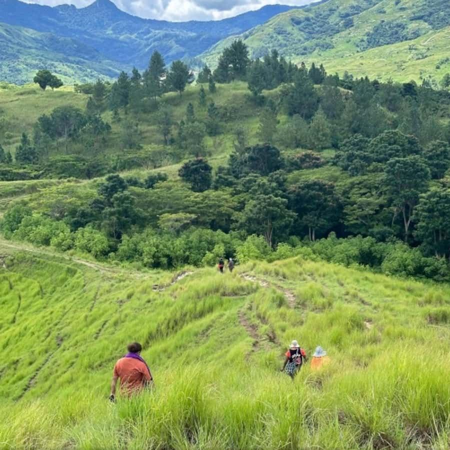 Nadi: Waterfall Tour Adventure with Refreshments and Lunch - Feeding farm animals and choosing your way back