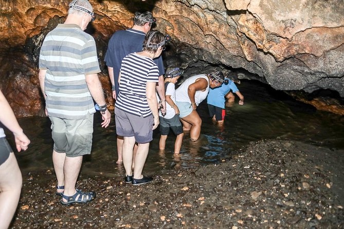 Naihehe Cave Safari in Sigatoka with BBQ Lunch - Entering Naihehe Cave with Sadam, Tia, or another local guide