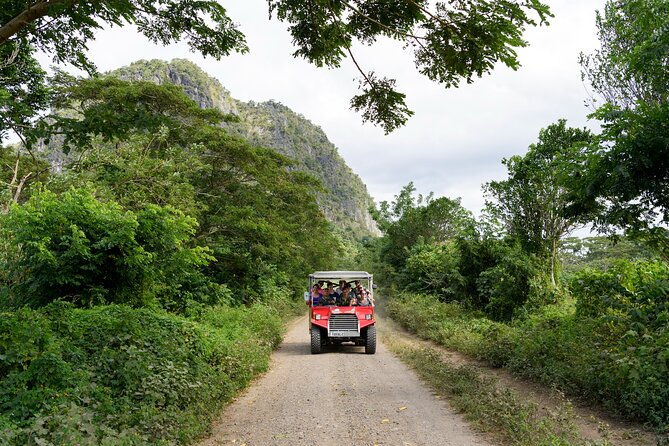 Naihehe Cave Safari in Sigatoka with BBQ Lunch - What the $126.53 price covers