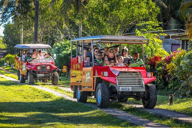 Naihehe Cave Safari in Sigatoka with BBQ Lunch - Cancellation and basic booking details