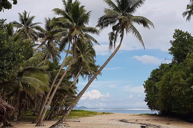 Namua Turtle Island and Eastern Upolu Tour - What the Samoan guide adds to the day