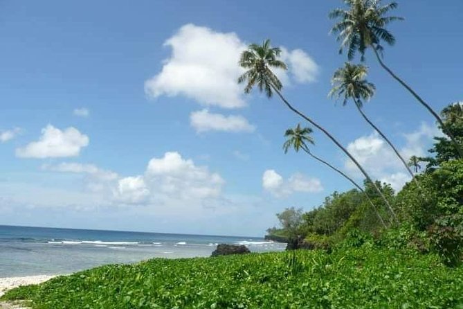 Namua Turtle Island and Eastern Upolu Tour - Piula Cave Pool, a freshwater swim in the shade