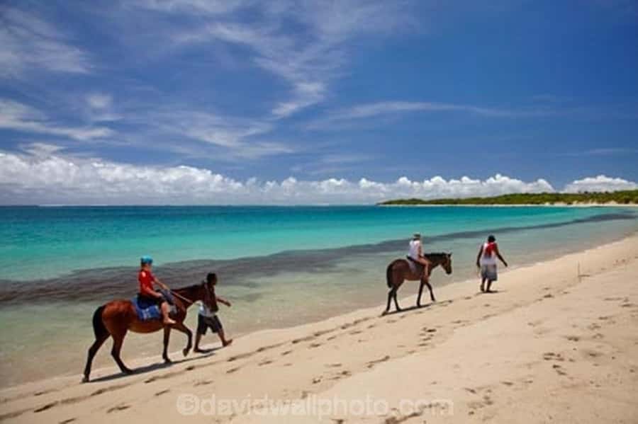 Natadola Beach Tour With Tifajek Mud Pool & Hotspring - Tifajek’s mud wrap is the most distinctive stop
