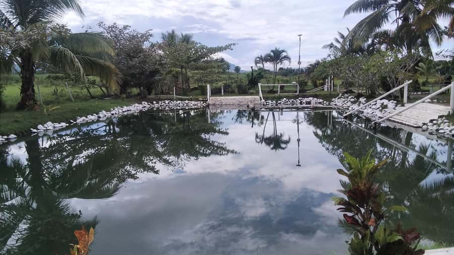 Natadola Beach Tour With Tifajek Mud Pool & Hotspring - Is $102 good value for this Fiji day trip?