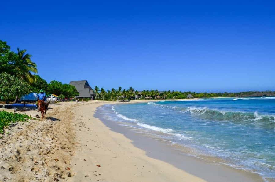 Natadola Beach Tour With Tifajek Mud Pool & Hotspring - Swimming, snorkeling, and horse riding at the beach