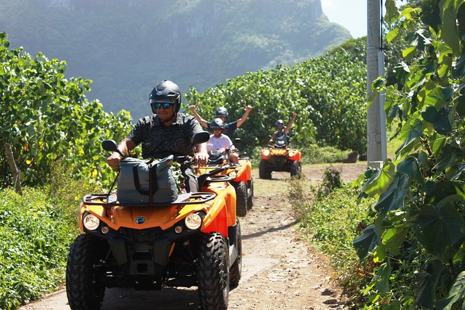 NEW!!! ATV TOURS with a local tour guide from Bora Bora - Amanahune Plateau and the shades of the lagoon