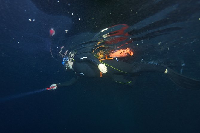 Night Snorkeling - Practical planning for the evening