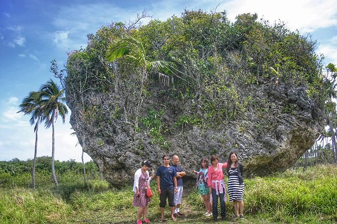 Nuku'alofa Shore Excursion: West Coast Scenic Tour - The three-headed coconut and Tonga’s unusual plant life