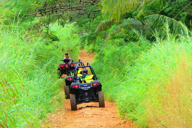 Off Road Buggy Adventure - Key points to know before booking