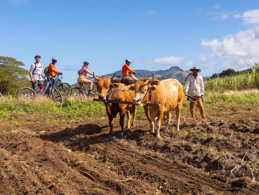 Off-road E-bike Tour with Local Guides - Sugarcane, mangoes, and everyday Fijian stories
