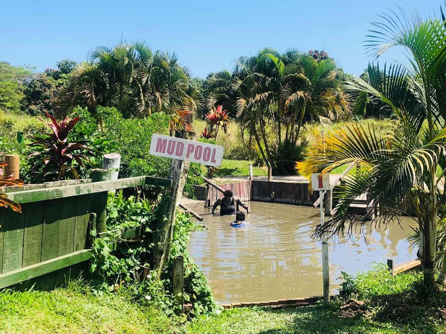 Official: Sabeto Hotspring and Mud Pool Tours & Tickets - Arriving at the correct hot spring site