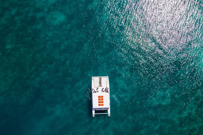Oolala Cruises on Savala Island - What the service is like in practice