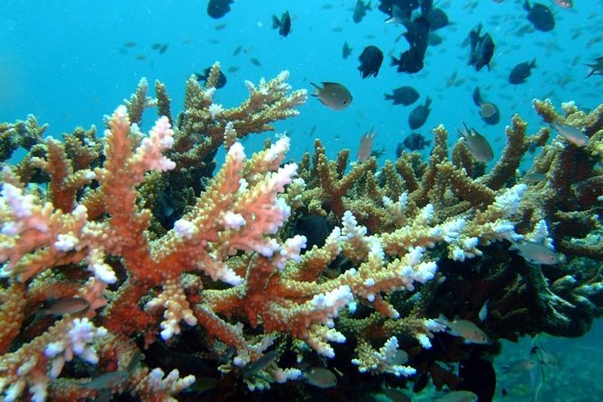 Other side of heaven Eco friendly snorkeling adventure - What the possible land stops add