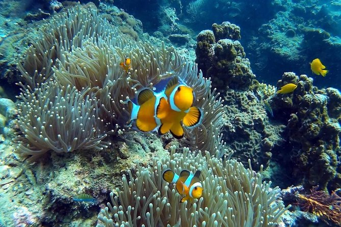 Other side of heaven Eco friendly snorkeling adventure - Group size and the feel of the outing