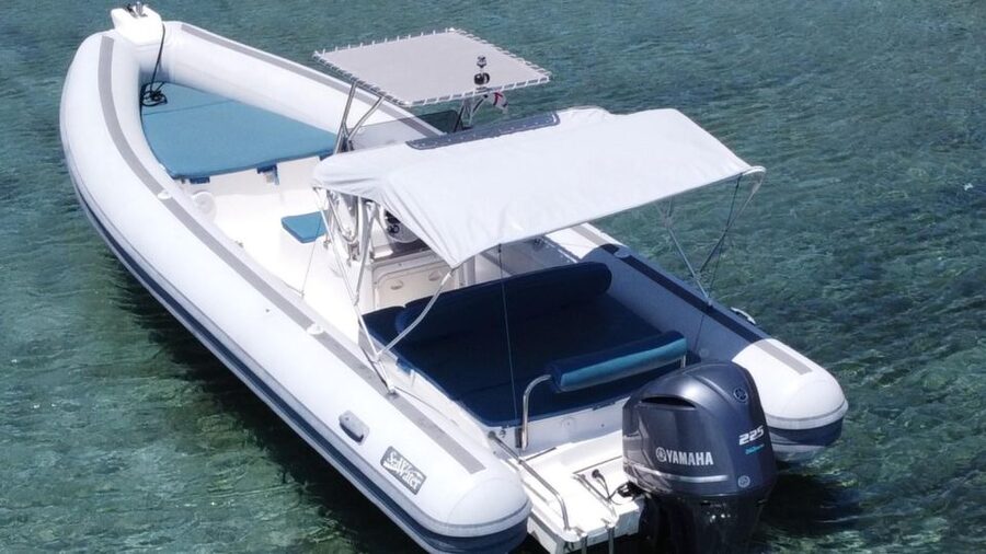Palau: personalized boat tour to visit Maddalena Archipelago - Razzoli and Santa Maria add variety