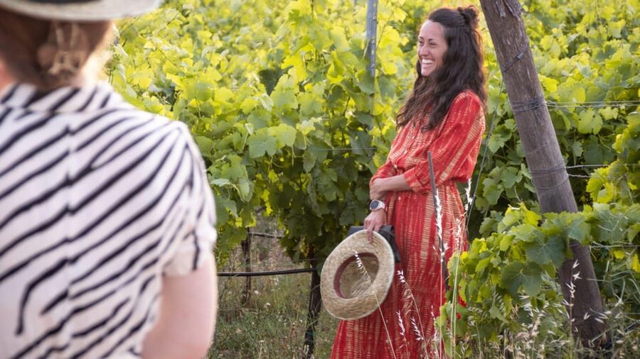 Palau: wine tasting in a Gallura winery - Should you book the Palau winery tasting?