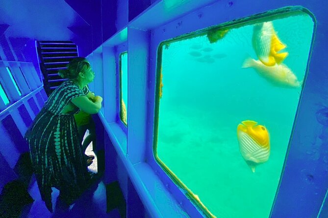 Ponton Day Trip SWIM with fish’s All meals included & Transport - A Floating Restaurant in Tamanou Reef