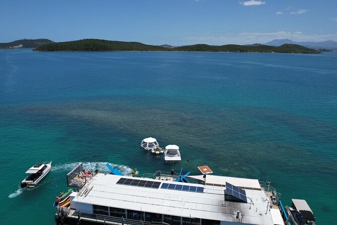 Ponton Day Trip SWIM with fish’s All meals included & Transport - How Much Value Does $129.10 Offer?