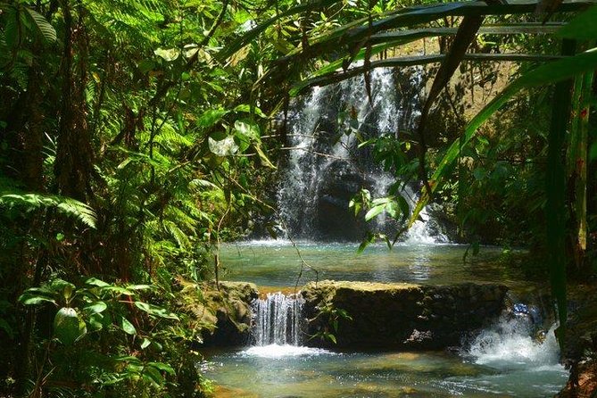 Port of Suva - Private Tour - What the three-hour itinerary can feel like
