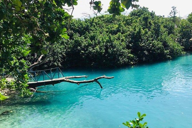 Port Vila Full Day Tour - Experience the Real Vanuatu - Group size, pickup, and timing