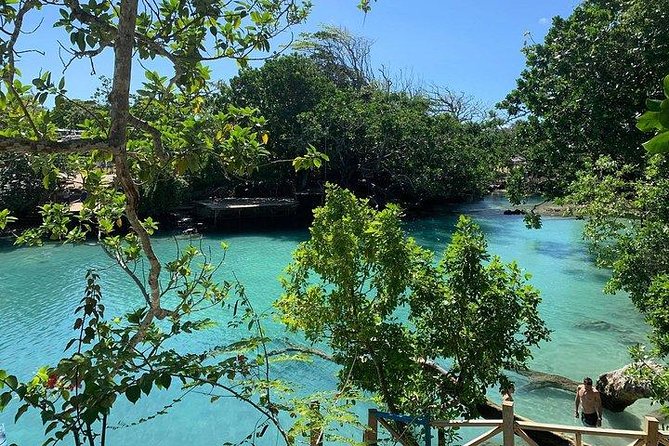 Port Vila Full Day Tour - Experience the Real Vanuatu - Turtles at Port Vila’s sanctuary
